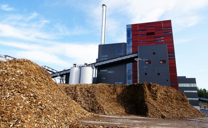 finalidad biomasa