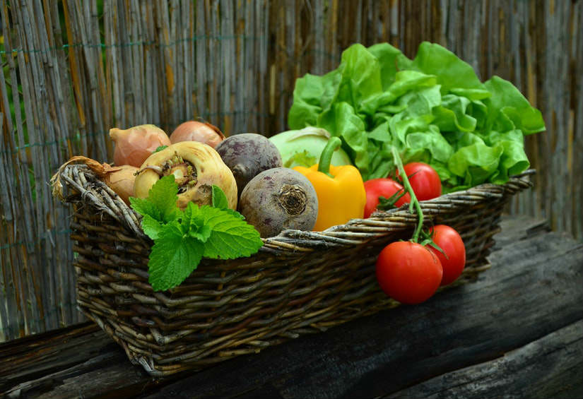 Mejor época para plantar frutas y hortalizas