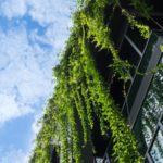 Soluciones para la eficiencia energética en edificios