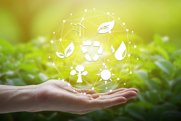 ¿Cómo son las 7 erres de la sostenibilidad?