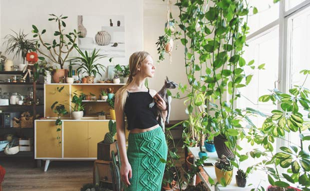 Cómo purificar el aire de casa con plantas